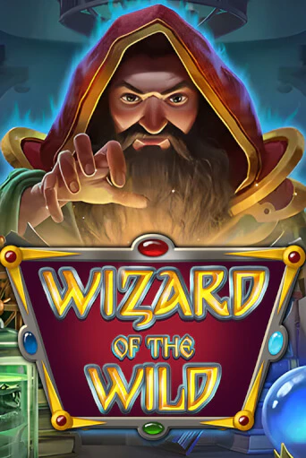 Wizard of the Wild - играть онлайн | Азартмания - без регистрации
